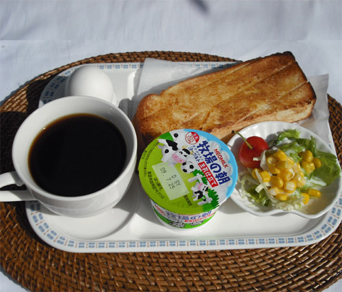 Gifu Green Hotel