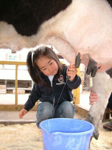 Fuji Milk Land Farm Inn Fuji Asagiri Kogento