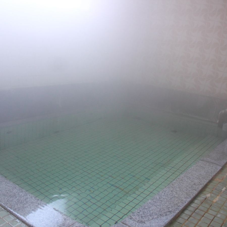 Kaminoyama Onsen SagaeyaRyokan