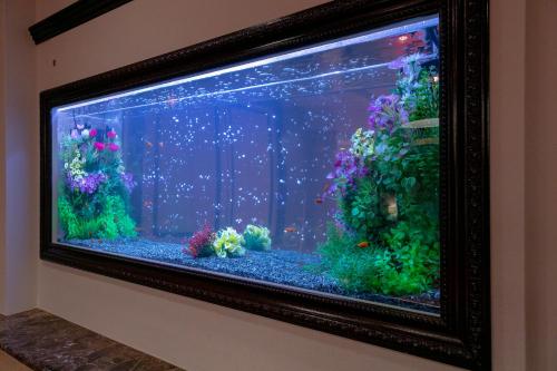Hotel Luna Kashiba (Adult Only)