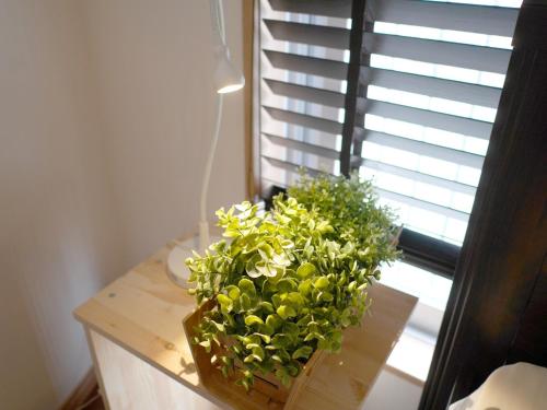 Abe's room Max 8 people/Pocketwifi/Canal city/