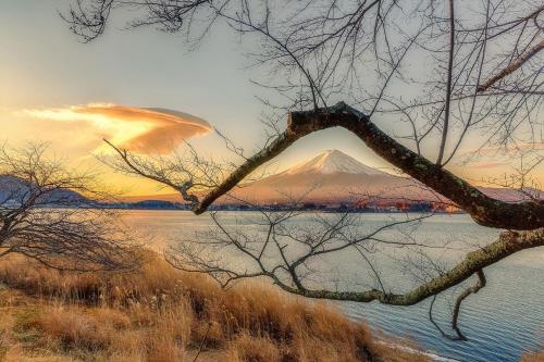 tocoro. Mt.Fuji Uzuki