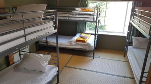 Starfall Lodge