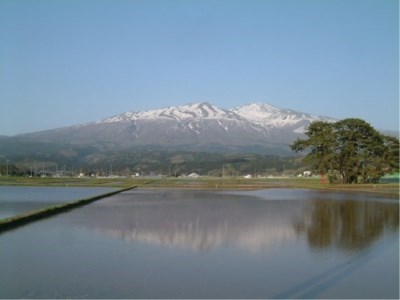 Yurari