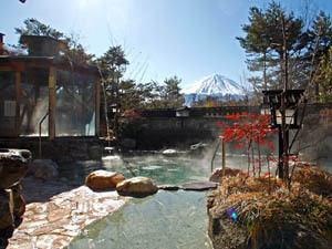 Fuji Midorino Kyukamura