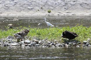 ［河原町］一軒家（54m²）｜ 2ベッドルーム／1バスルーム