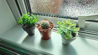 ［大阪市南部］スタジオ アパートメント（25 m²）／1バスルーム