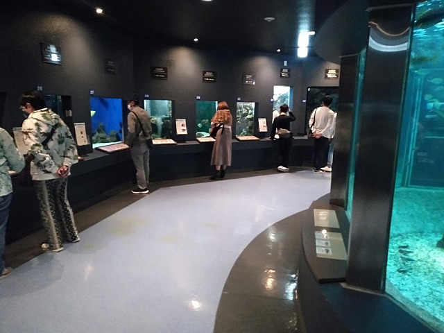 京都大学 白浜水族館 京都大学 白浜水族館
