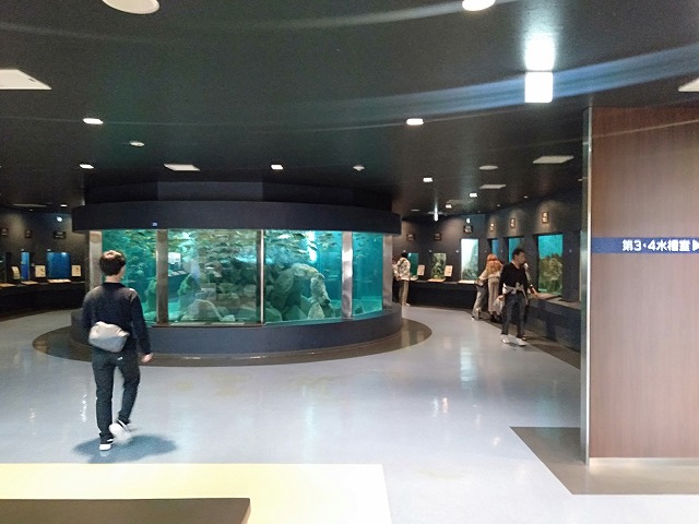 京都大学 白浜水族館 京都大学 白浜水族館