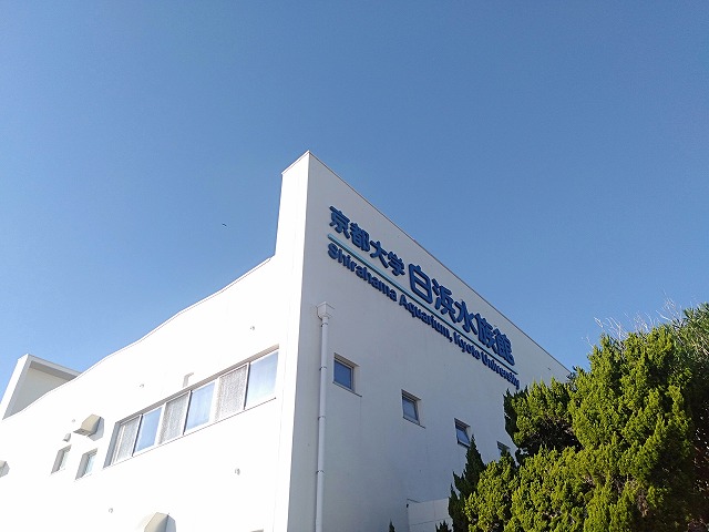 京都大学 白浜水族館 京都大学 白浜水族館
