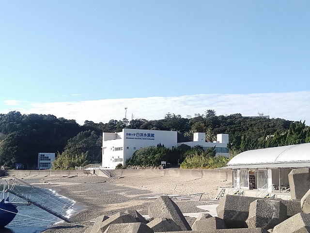京都大学 白浜水族館 京都大学 白浜水族館