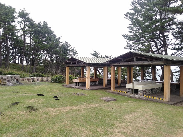 種差海岸