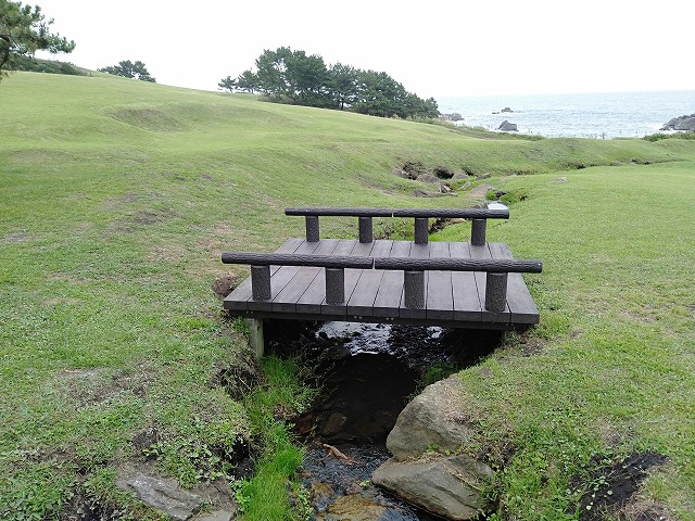 種差海岸