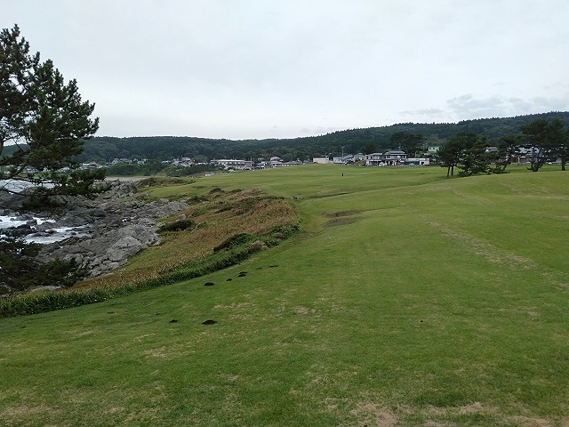 種差海岸