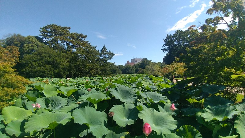 栗林公園