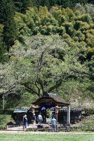 天然温泉羽二重の湯　ドーミーイン福井