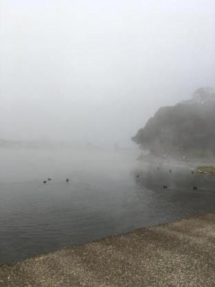 旅籠かやうさぎ