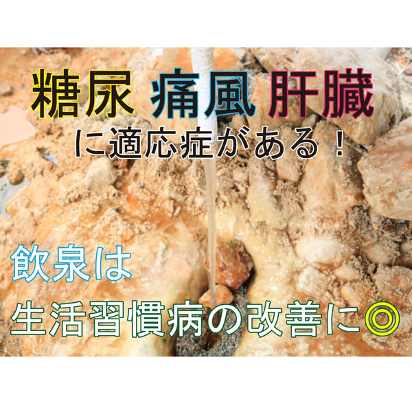 Senju no Sato Ramune Onsen