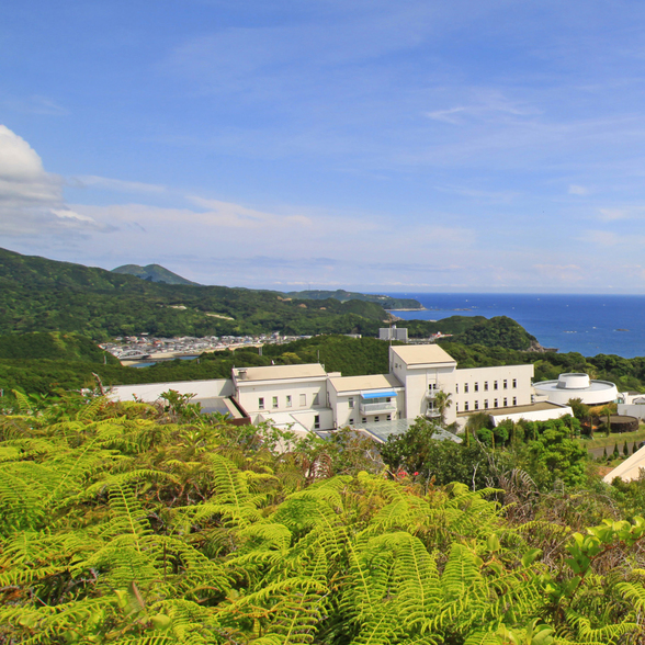 Nanki Susami Onsen Hotel Bellevedere