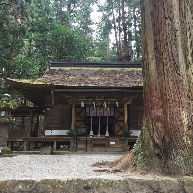 Minshuku Muro