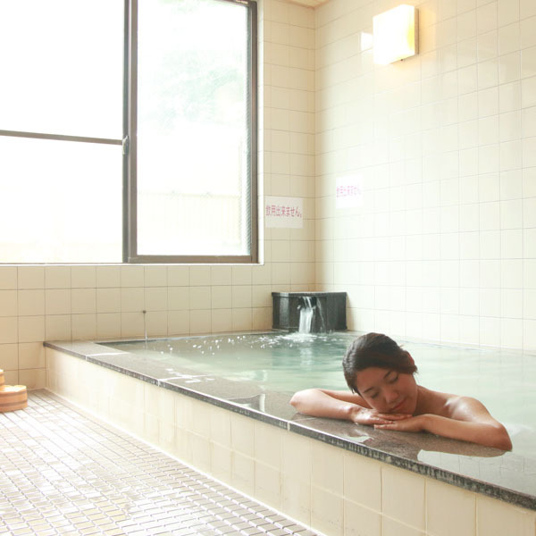 Gokase Onsen Mori no Yado Kijiya