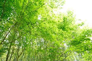 万葉の里白雲荘