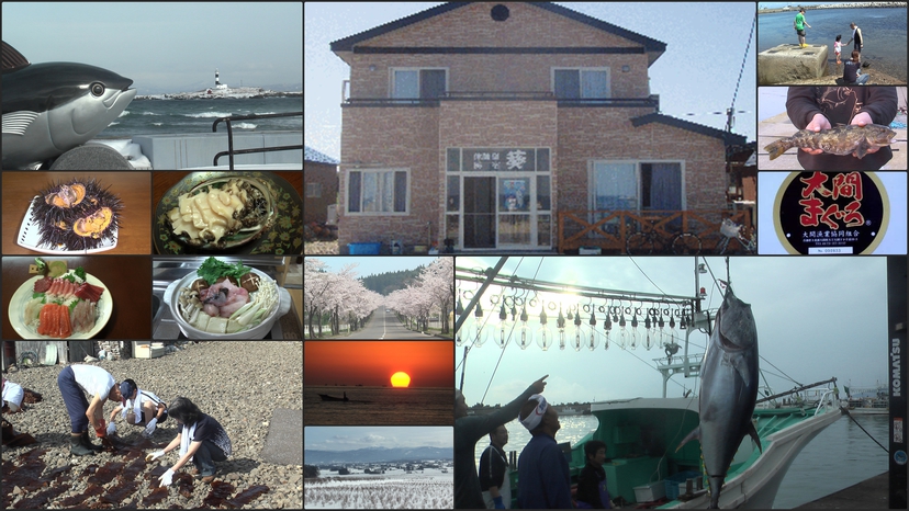 Try Out Minshuku Aoi