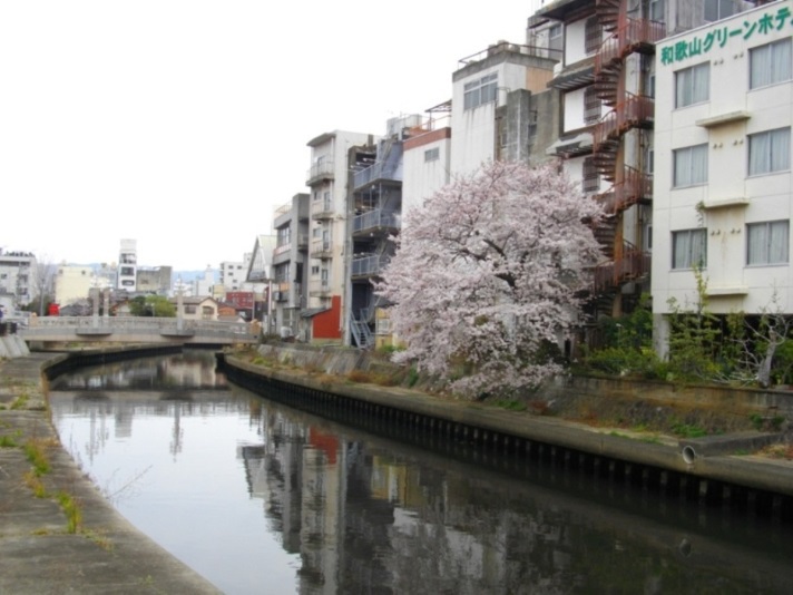 Wakayama Green Hotel