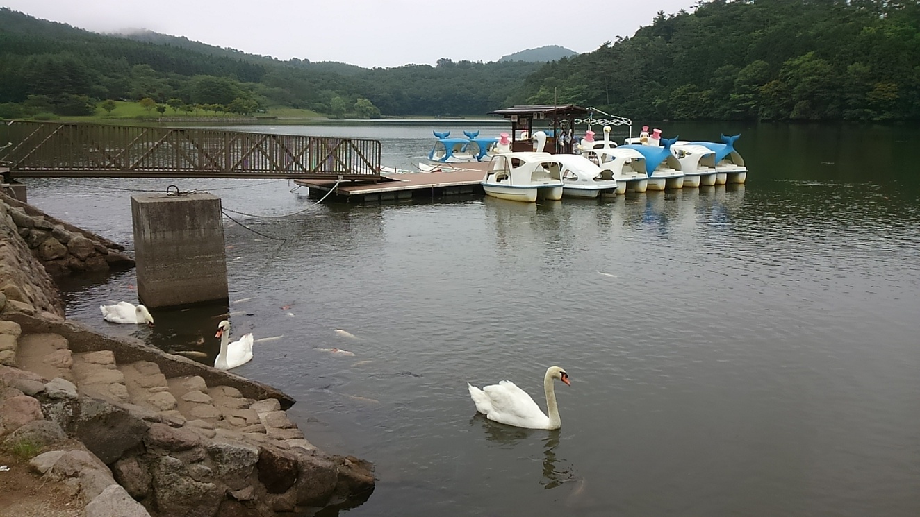 Guest House kofuji