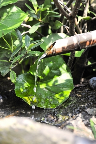 Toshimaya Tsukihamanoyu