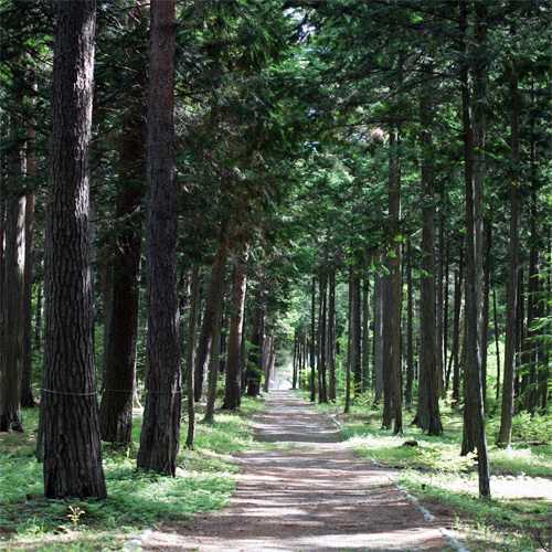 Oshiba Kogen Onsen Oshibaso