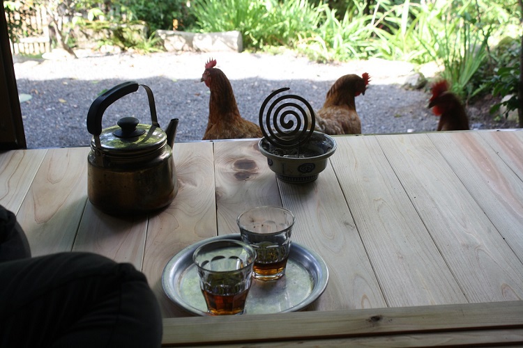 Farm-Inn Torikotoya