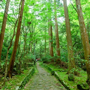 Minamitei