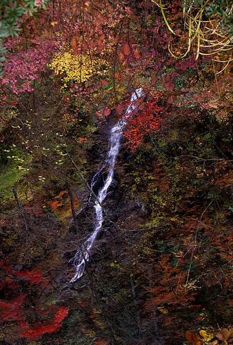 Kabutoya Ryokan
