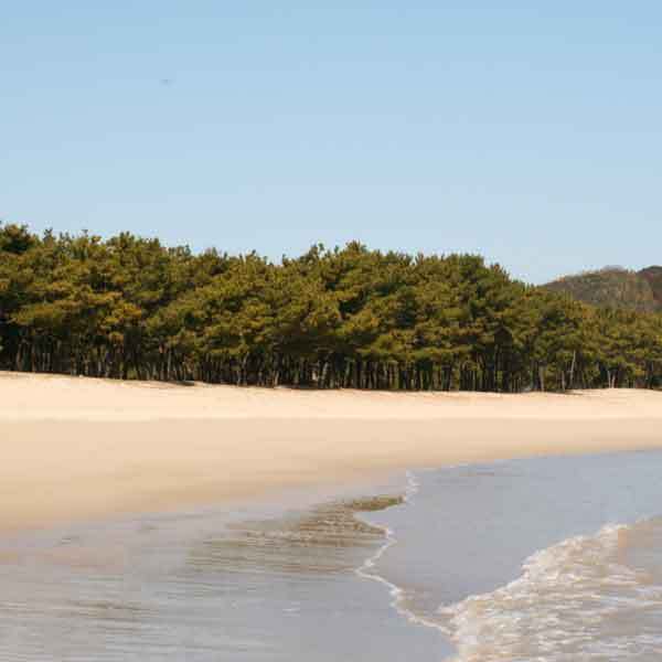 Ikibokujo (Ikishima)