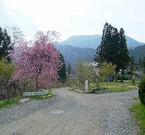 Dorogawa Onsen Koryokuen Saisei