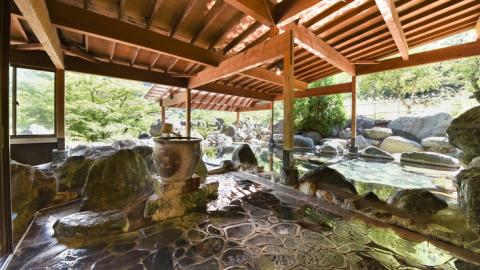 Ashiyasu Onsen Iwazonokan