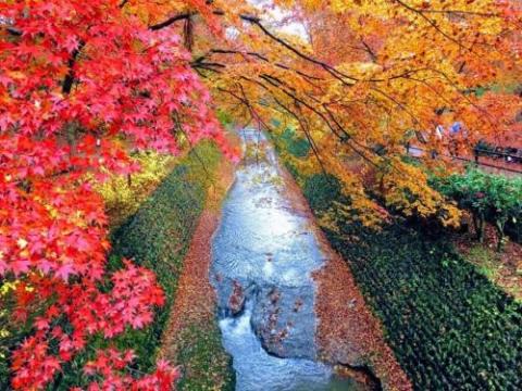 ゲストハウスオーヤマinn伏見稲荷A棟