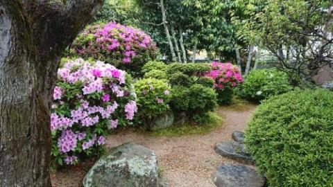 瀬戸音十庵