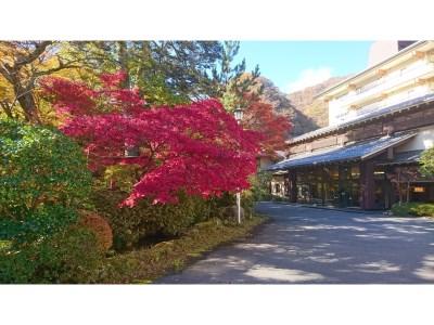 Yukemurinosato Kashiwaya