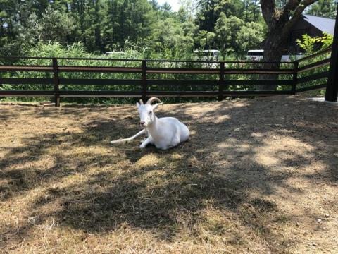 Saizu Resort Hotel Urabandai