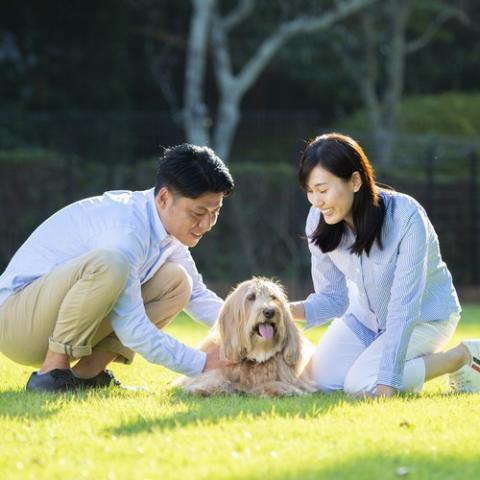 Wan's Resort Jogasaki Kaigan