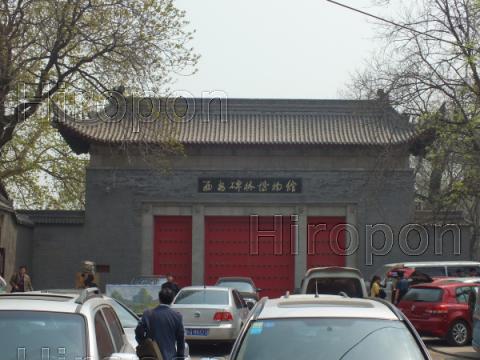 西安碑林博物館 8