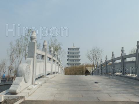 西安世界園芸博覧会 36