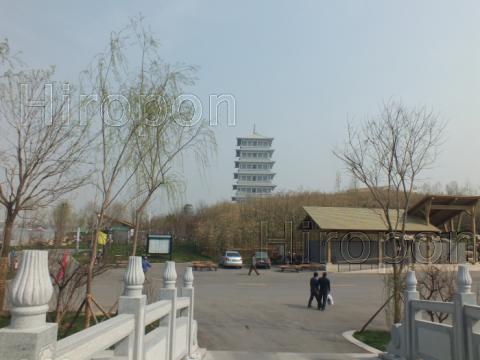 西安世界園芸博覧会 39