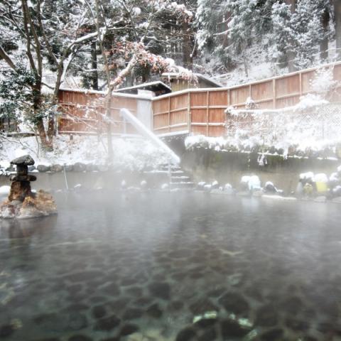Sarugakyo Onsen Yumoto Choseikan