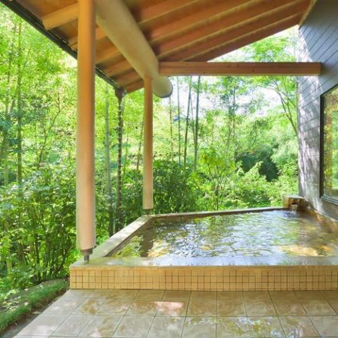 Uguisudani Onsen Takenoha