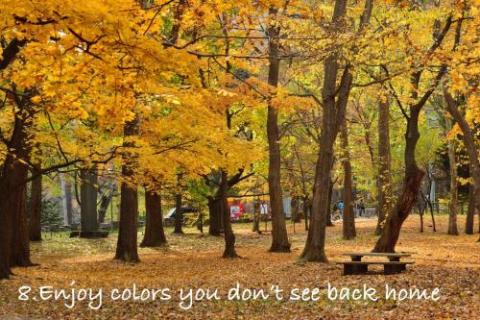 COLORE KOTONI / Vacation STAY 2889