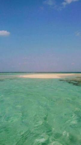 ［与論］一軒家（50m²）｜ 1ベッドルーム／1バスルーム