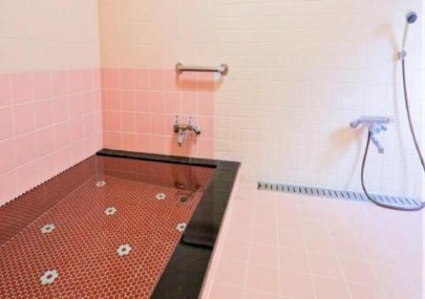 Nibukawa Onsen, Kadoya / Vacation STAY 72205